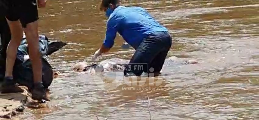 Hallan tres cadáveres con impactos de bala a orillas del río Apa en Bella Vista