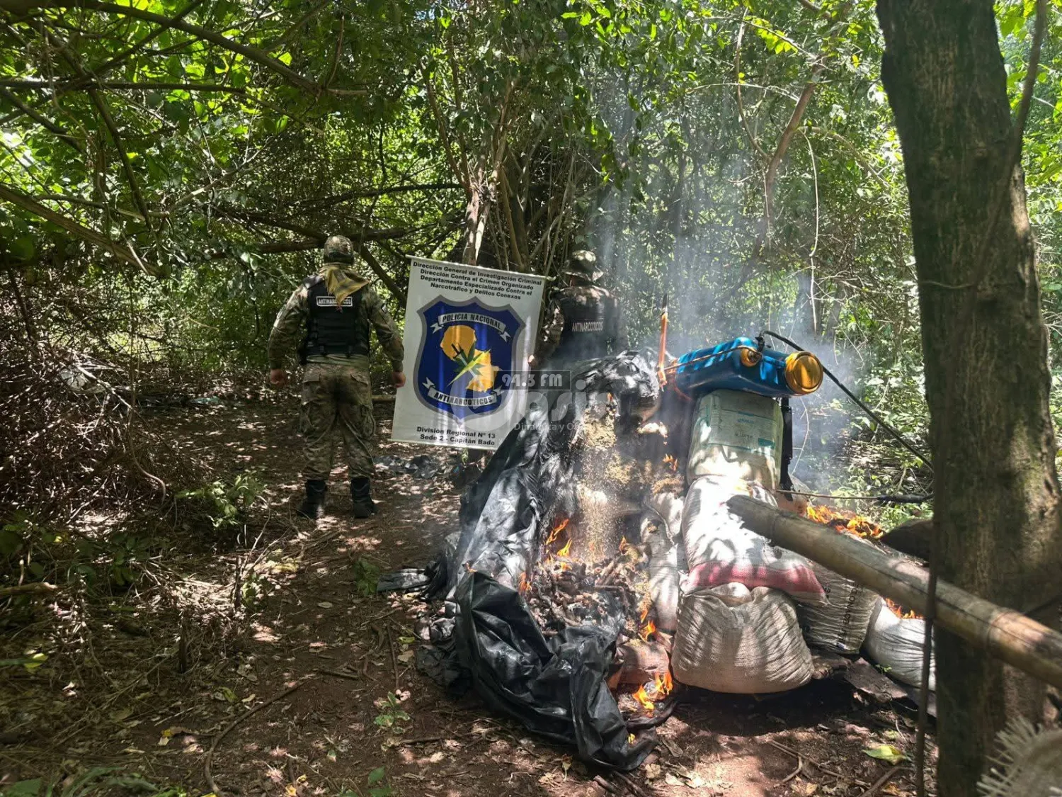 Destruyen 1.200 kilos de supuesta marihuana durante allanamiento rural en Amambay