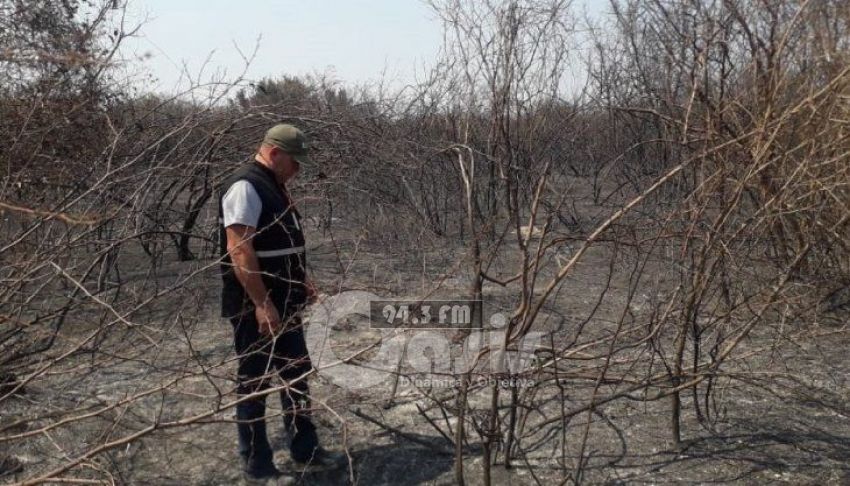 Alertan peligro extremo de incendios en franja ribereña del Pantanal paraguayo