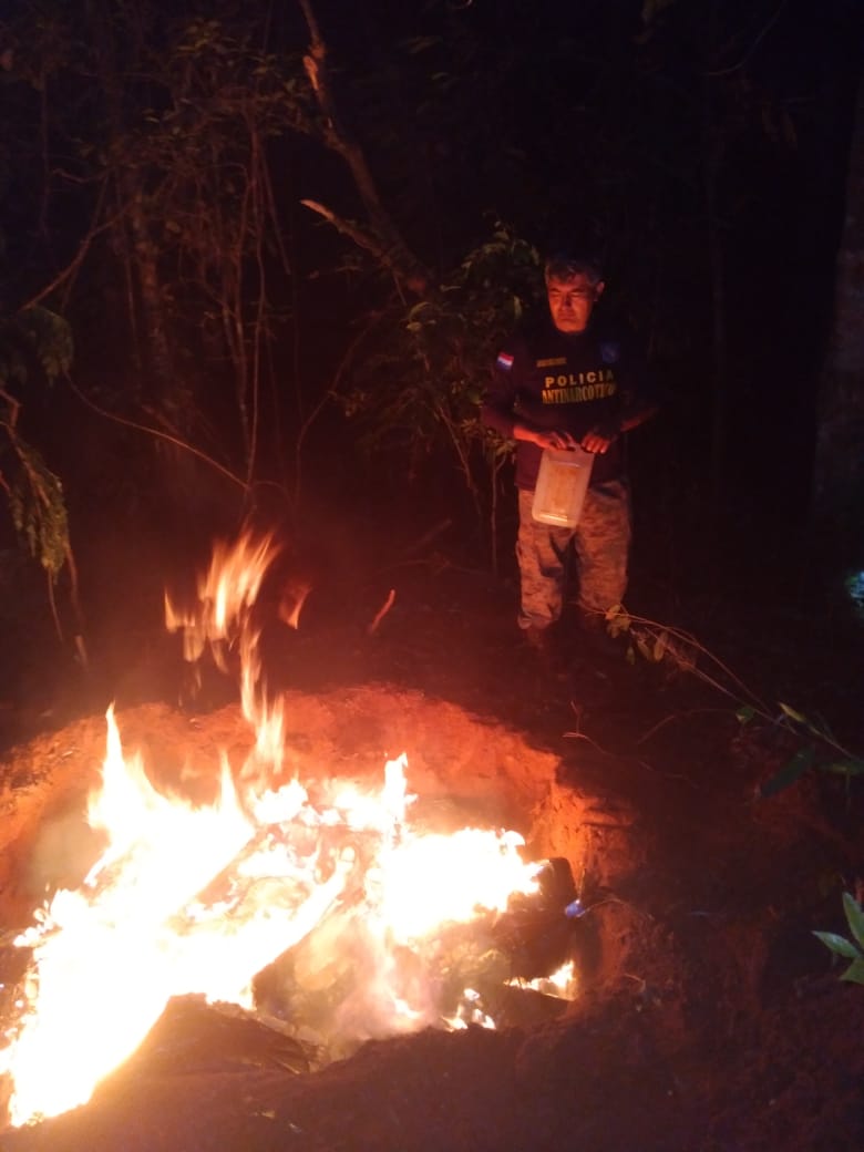 Más de una tonelada de marihuana fue destruida en zona rural de Pedro Juan 