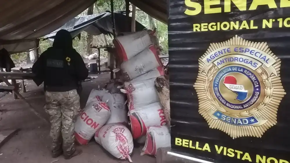 Destruyen más de 2 toneladas de marihuana en campamento narco