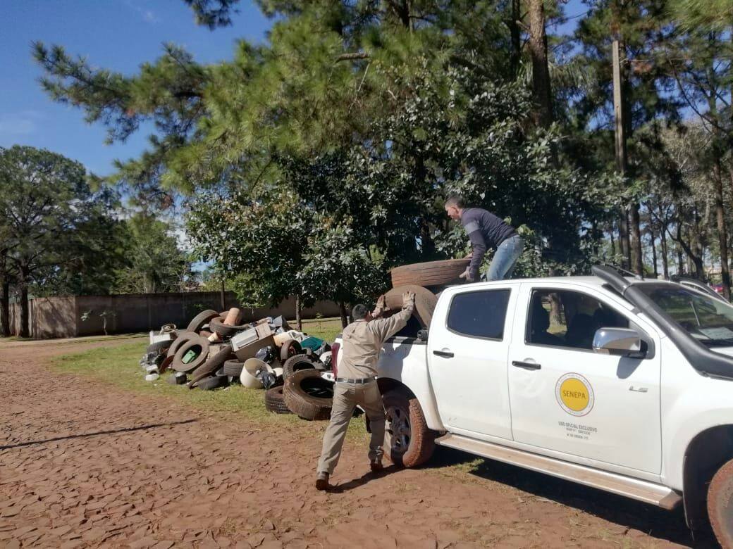 SENEPA trabaja en la eliminación de criaderos de mosquitos