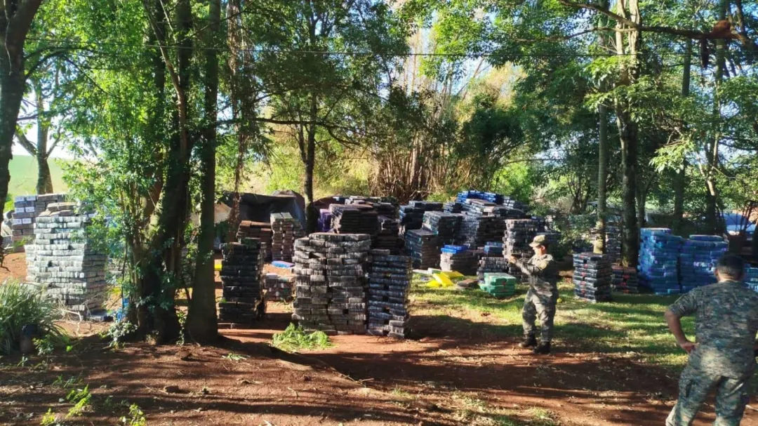 48 toneladas de marihuana fueron incautadas en operativo conjunto entre Senad y FTC