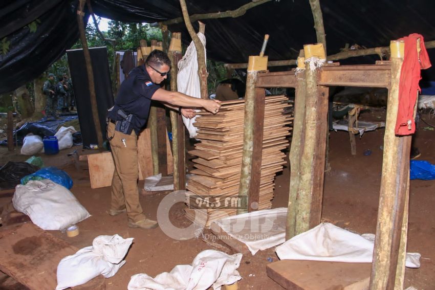 Revelan que producción de cannabis en parte de Amambay está bajo dominio de PCC