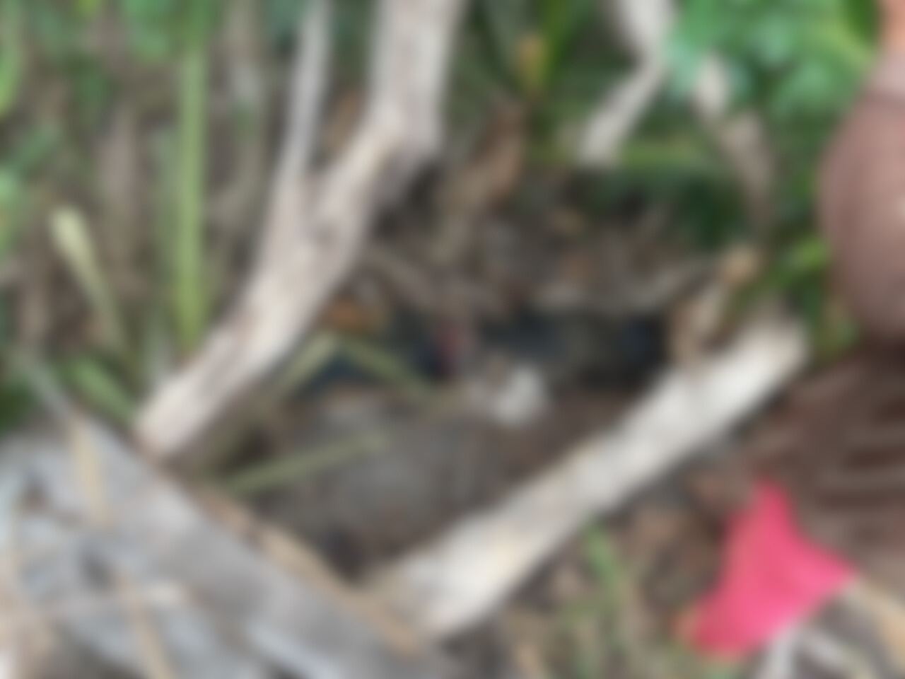 Joven desaparecido es hallado sin vida en un descampado, zona de Zanja Pyta