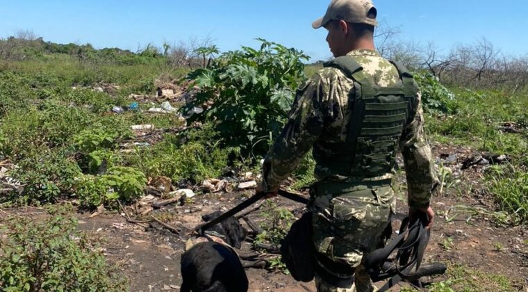 Armada despliega personal por aire, tierra y agua para buscar a militar desaparecido