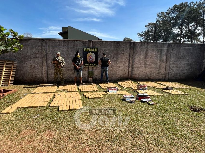 Desmantelan centro de almacenamiento de marihuana en Pedro Juan