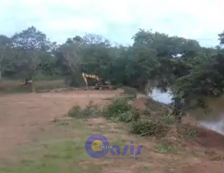 Grave: Denuncian deforestación en las orillas  del Rio Apa en Bella Vista