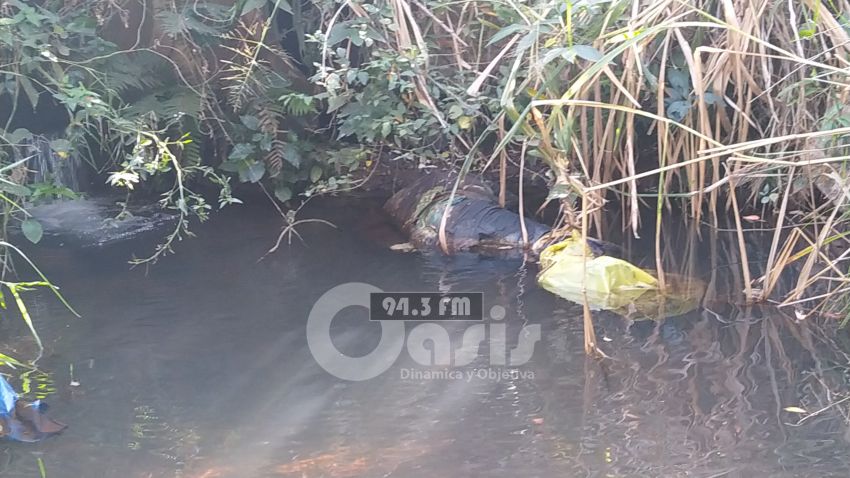 Cadáver encontrado en un arroyo en zona de  Zanja PytÍ£ aún no fue identificado