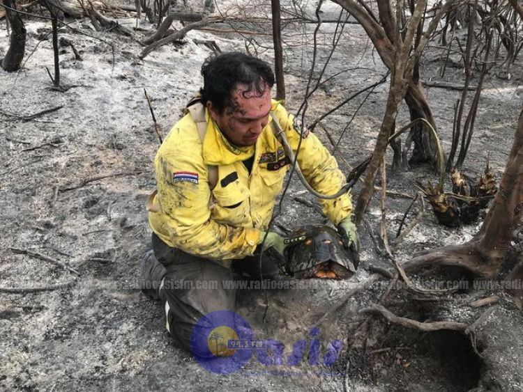 Destaca acción de varios héroes anónimos en los incendios forestales