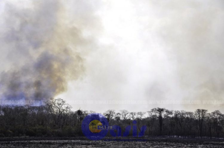 Paraguay perdió 22 millones de hectáreas por incendios en los últimos 19 años