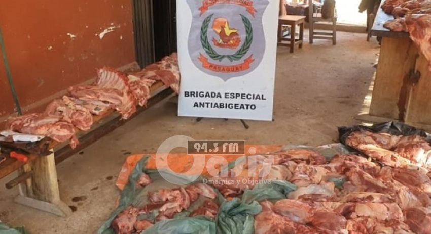 En Concepción incautan media tonelada de carne clandestina 