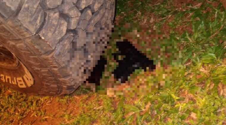 Matan a un joven de 20 años, la novia está detenida como sospechosa