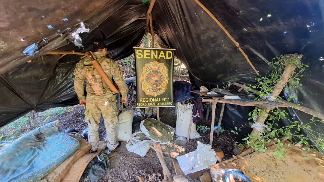 SENAD anula base narco y más de 24 toneladas de Marihuana en Cerro Corá