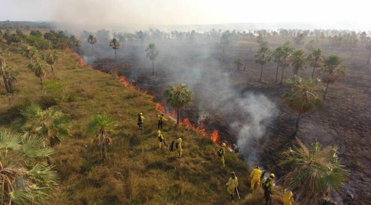 Incendios forestales dejan sin energía eléctrica a varias localidades del país
