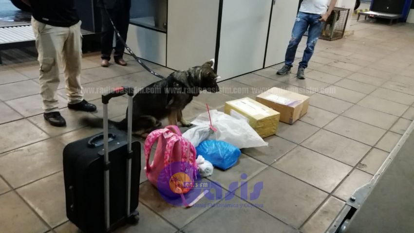 Detienen a brasileñas que enviaban cocaína en encomiendas aéreas