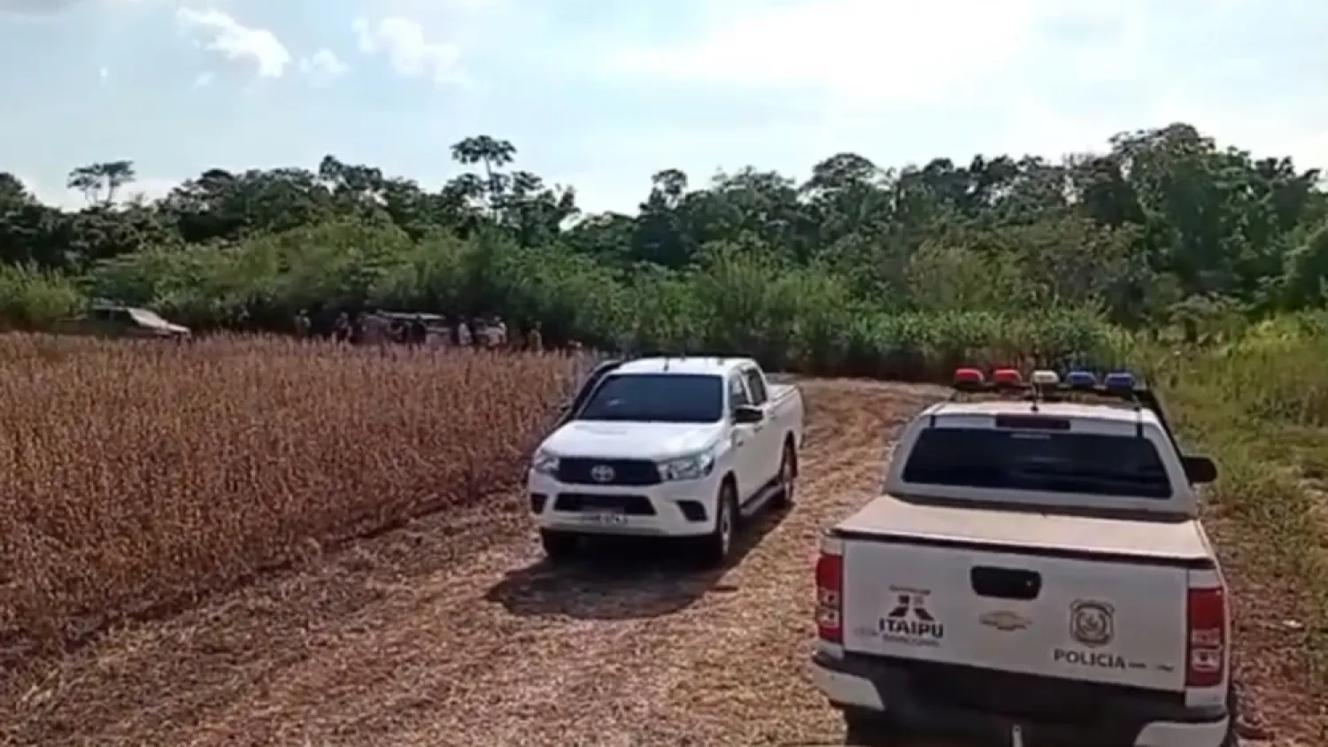 Sigue la intensa búsqueda de joven secuestrado en Canindeyú