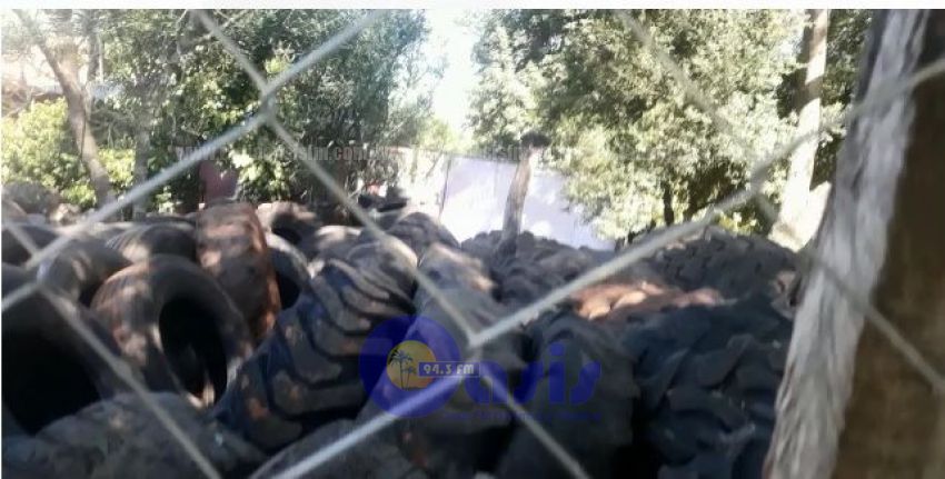 Aumenta chikunguña en PJC