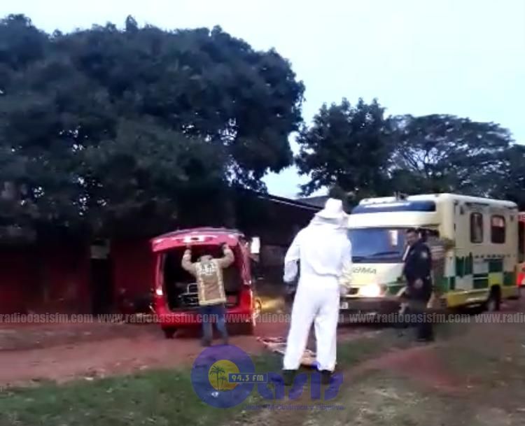 Murió tras ser atacado por un enjambre de avispas
