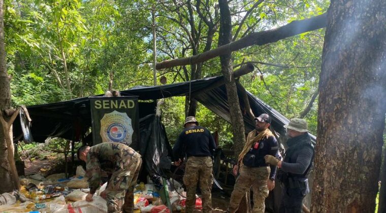 Campamentos narcos con generadores de electricidad: 12 toneladas de marihuana incautadas