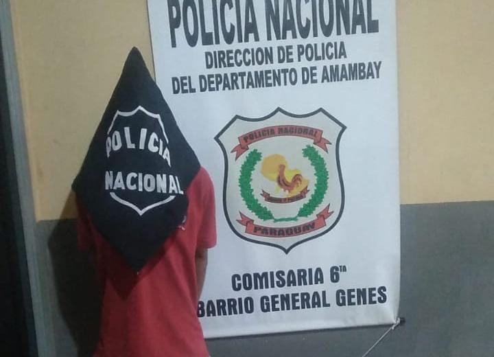 Tras haber robado a su propia madre, un joven de 20 años fue aprehendido