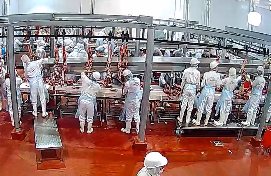 Frigonorte bajo lupa tras fallido simulacro con trabajadores afectados