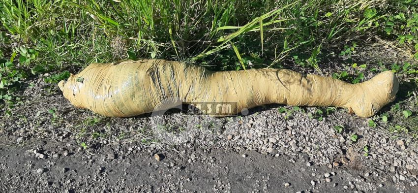 Encuentran cadáver de un menor  embalado en zona de Bella Vista Norte