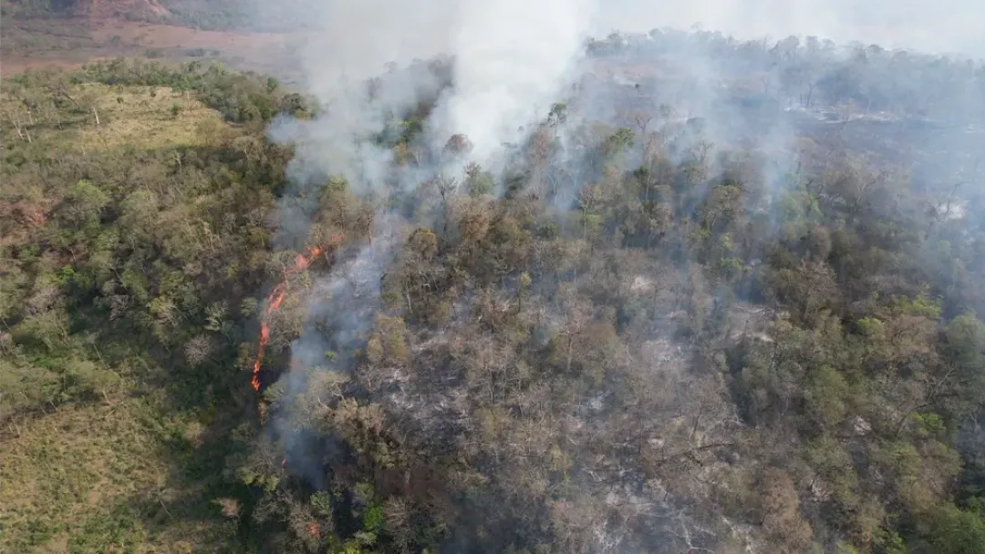 Estiman que unas 200 hectáreas fueron afectadas por incendio en Parque Nacional Cerro Corá