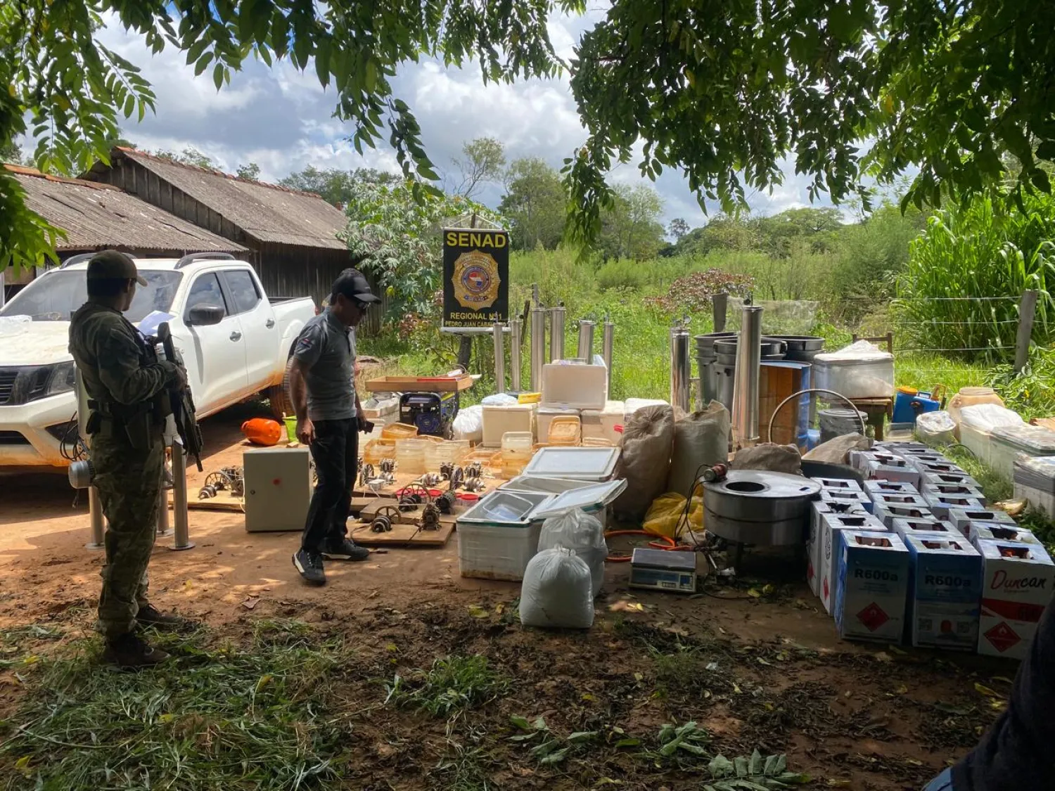 Operación “Toro Expo 26 - 2.0”: desmantelan enclave de cannabis premium en Capitán Bado 