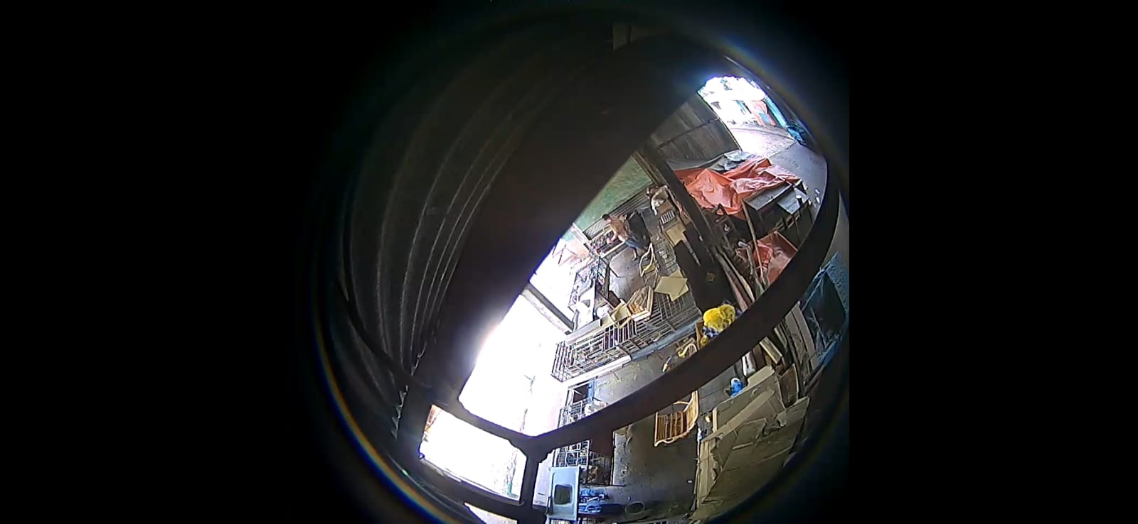 Roban unas 15 gallinas del Mercado Municipal