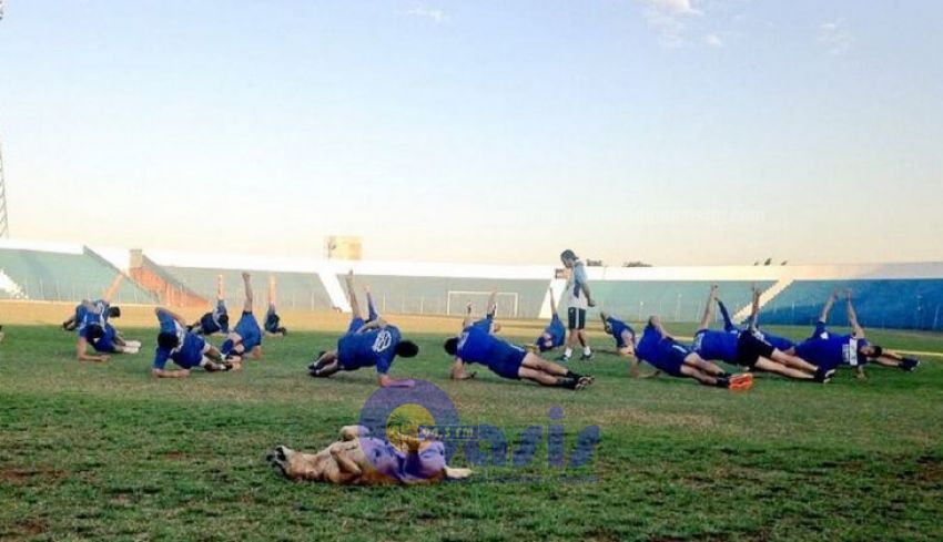 Tesapara, la hincha de cuatro patas fanática del club 2 de Mayo