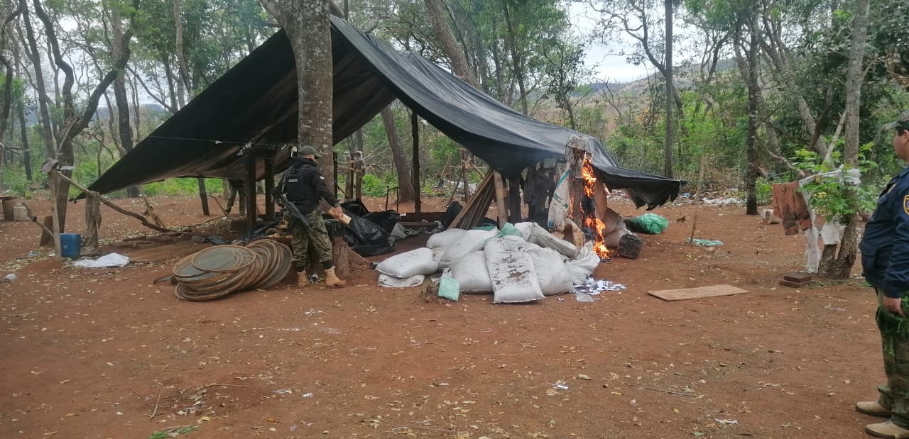 Colonia Santa Clara: Trabajo policial en conjunto logra la destrucción de campamentos narcos y plantaciones de marihuana