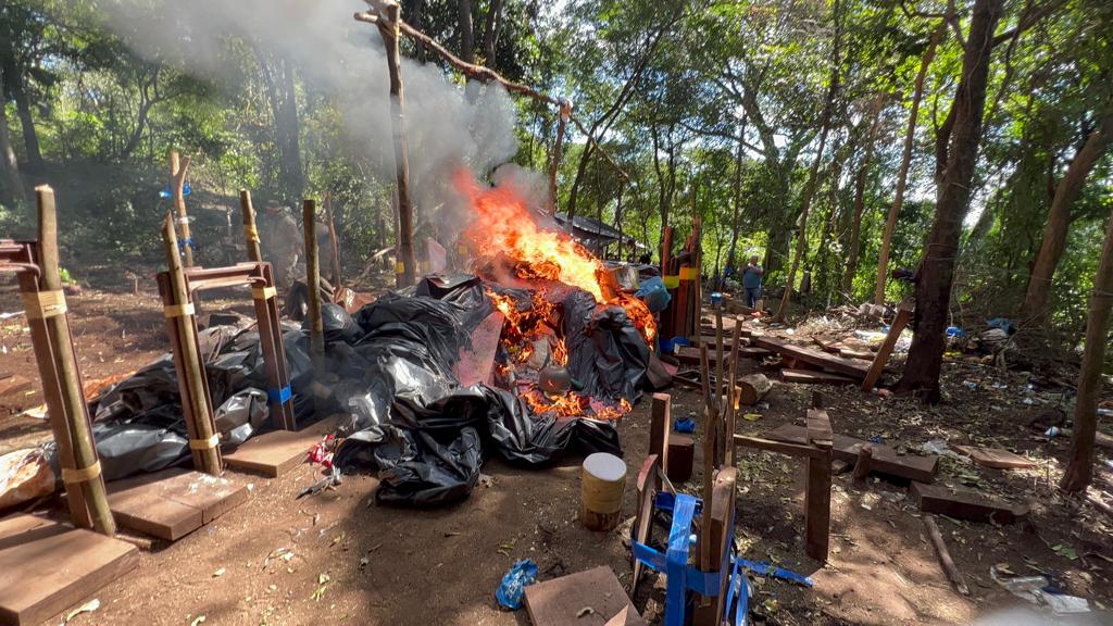 Tres detenidos y más de ocho toneladas de marihuana fueron incautadas y destruidas en la Colonia en Estrella