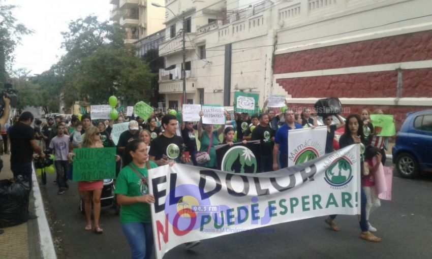 Marchan por la despenalización del cultivo del marihuana en Paraguay