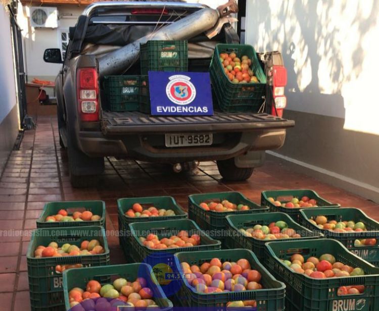 Incautan 425 kilos de tomates ingresado de contrabando en Pedro Juan