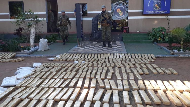 Más de media tonelada de marihuana prensada fue incautada por Antinarcóticos en Pedro Juan