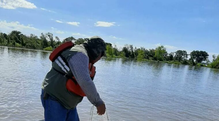 Mortandad de peces: estrictos controles en aguas de los ríos Paraguay y Paraná