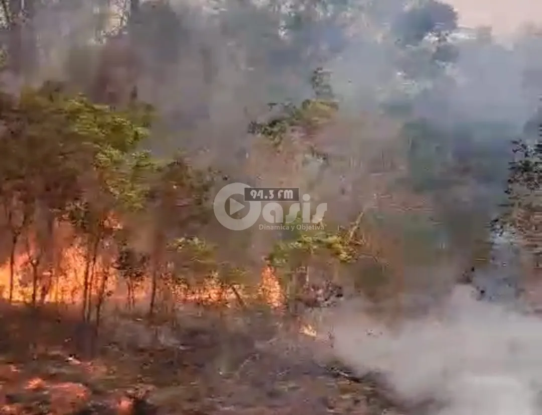 Reportan nuevos focos de incendio en el Parque Nacional Cerro Corá