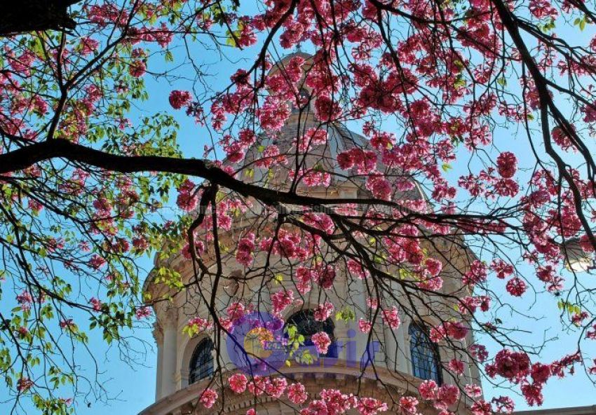 La Primavera ingresará recién mañana a las 23:54