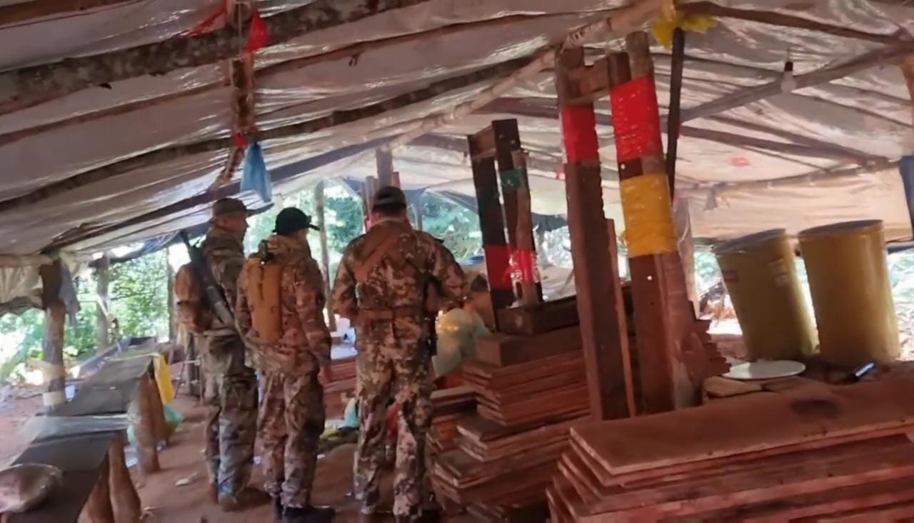 Detectan mega campamentos de producción de marihuana premium en Amambay