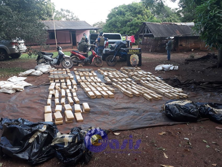 En menos de 24 hs Senad incauta casi una tonelada de marihuana en PJC