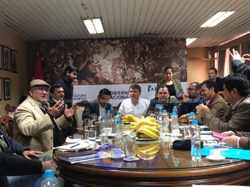 Banana en merienda escolar: Gobierno llega a acuerdo con productores