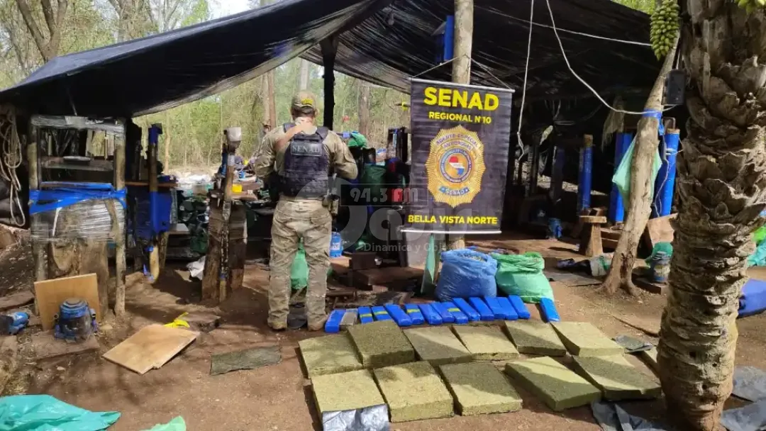 Senad halla campamentos con luz eléctrica y más de 2 toneladas de marihuana en Amambay