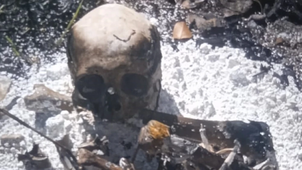 Hallan cráneo y otros restos óseos de una persona