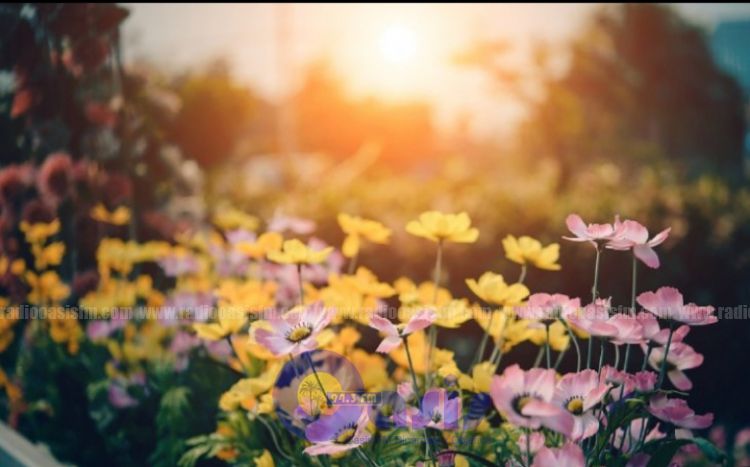 La primavera no empezará este 21 de setiembre