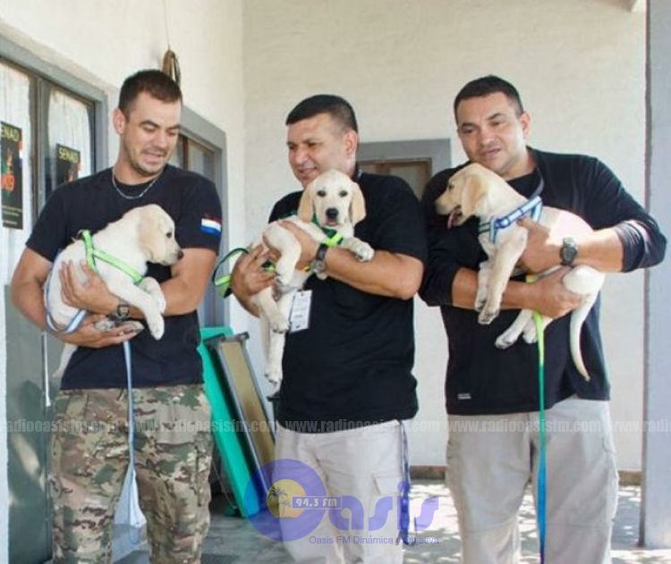 Donan cachorros para brigada de canes de la Senad