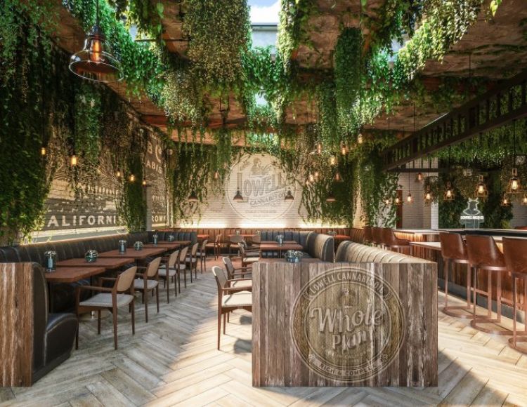 Luz verde al que sería primer café y restaurante a base de cannabis en EEUU