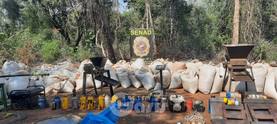 Agentes de la Senad destruyen alrededor 6.000 kilos de marihuana en Capitán Bado