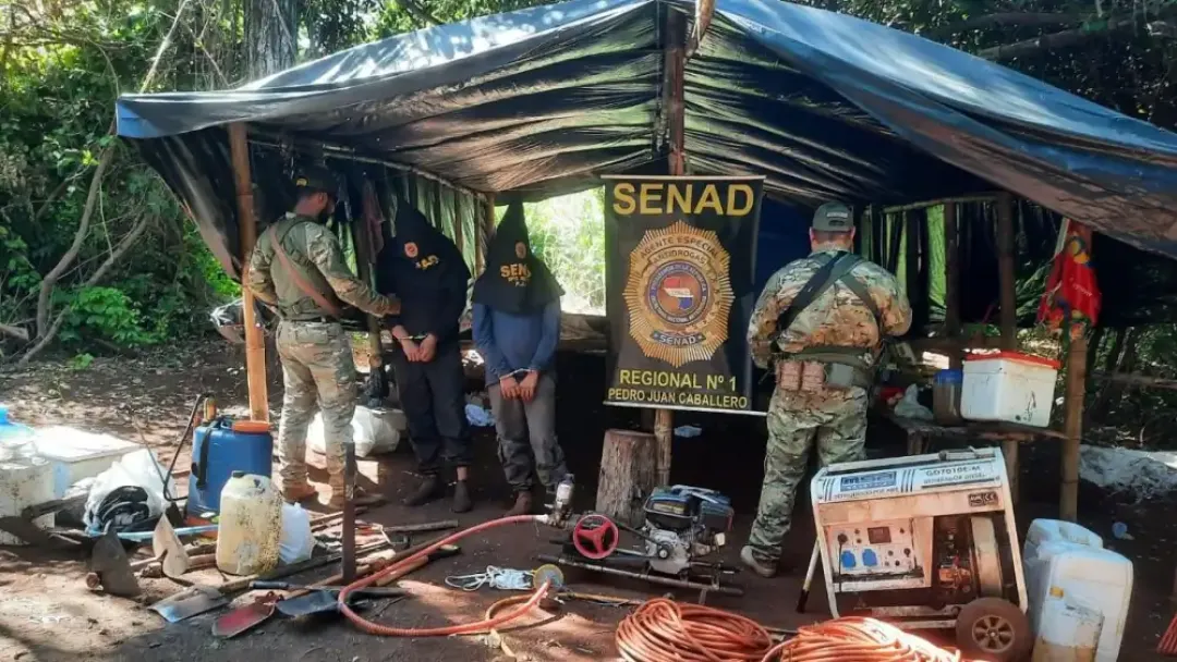 Detienen a dos colombianos y desmantelan invernadero con marihuana modificada