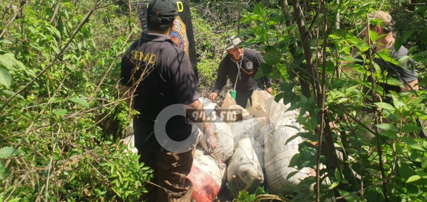 Senad desarticula campamento narco y anula más de 12 toneladas de marihuana en Canindeyú